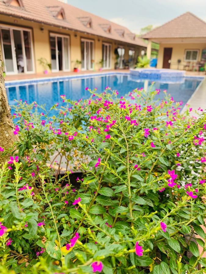 Hello Kampot Resort Ngoại thất bức ảnh